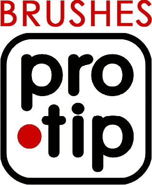 Pro Tip Brushes