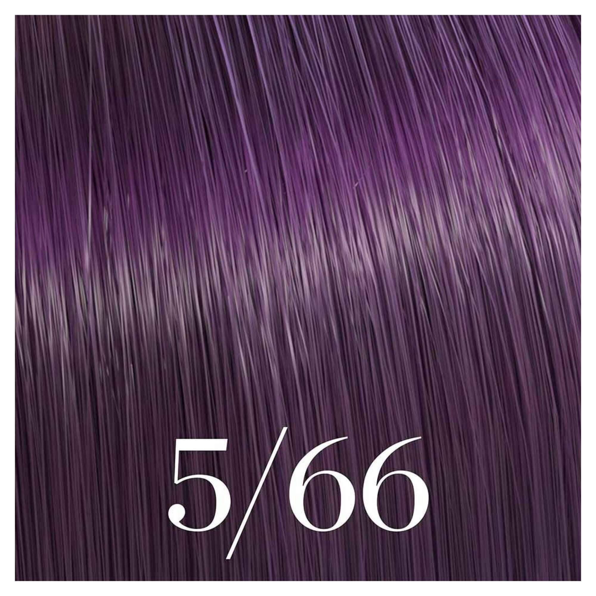 Color Touch 5/66 - Image 2