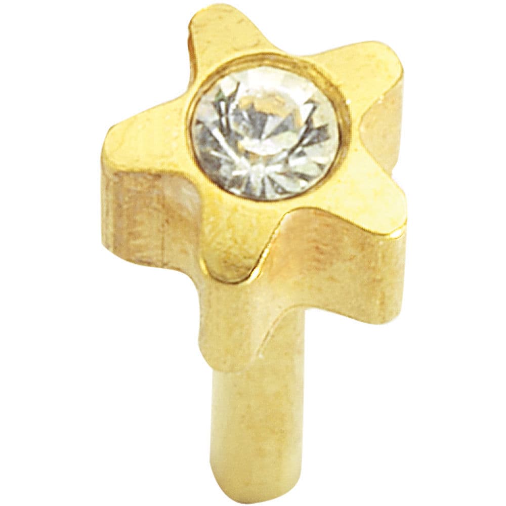 GOLD PLATE STUD - Flowerstone - April