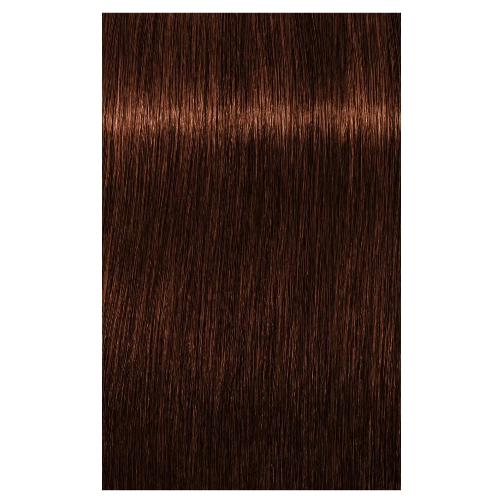 Schwarzkopf Igora - Royal Absolutes - 5-70 - Image 2