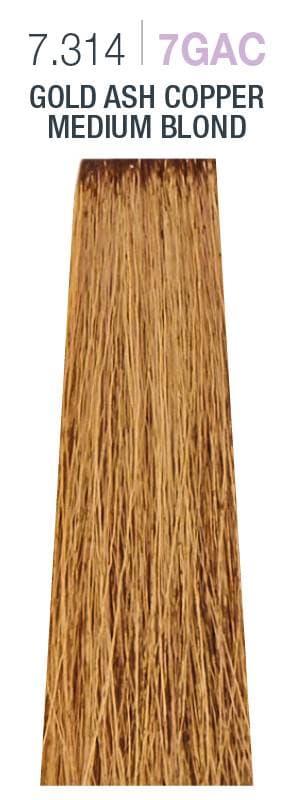 Milk Shake - Creative - 7.314 (HAZELNUT)