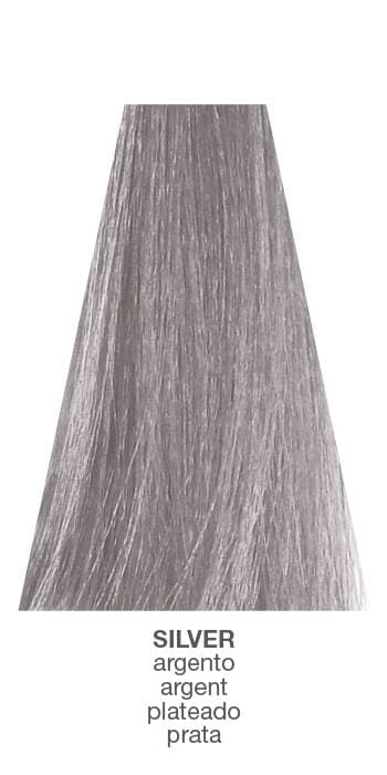 Milk Shake - Smoothies - Silver