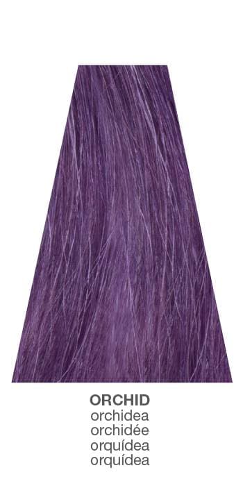 Milk Shake - Smoothies - Orchid