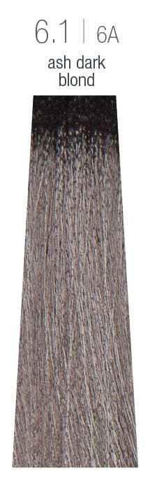 Milk Shake - The Gloss - 6.1 (ASH DARK BLONDE)