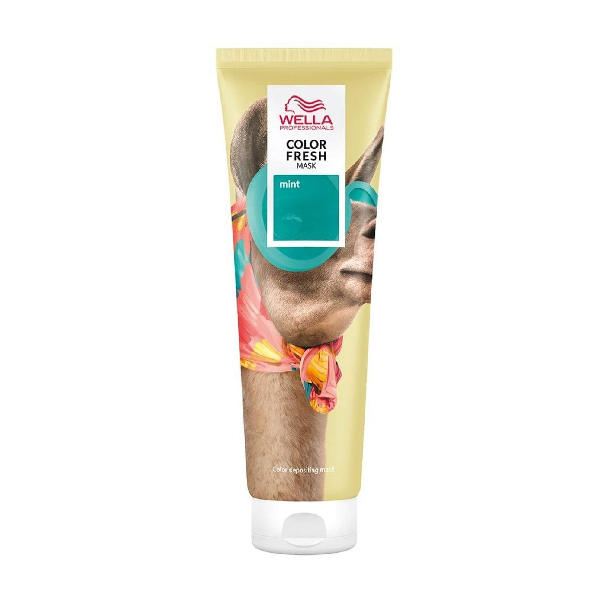 Color Fresh Mask - Mint