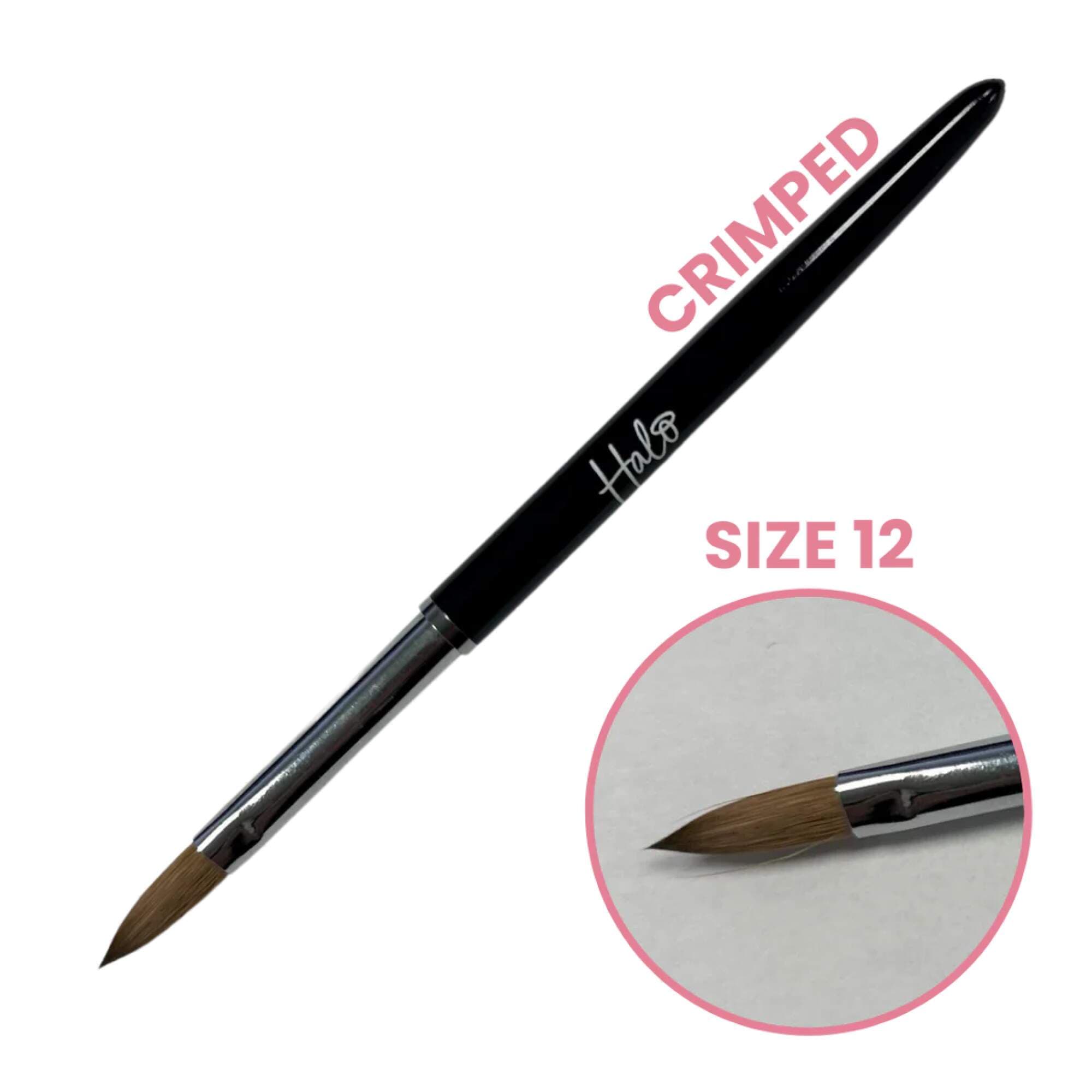 HALO ELITE BRUSH - Crimped Brush Size 12