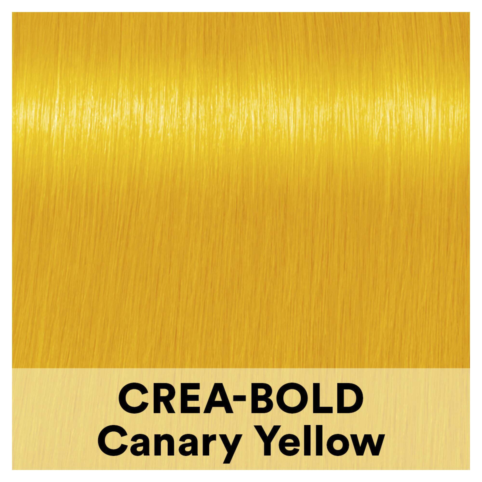 CREA-BOLD - Canary Yellow - Image 2