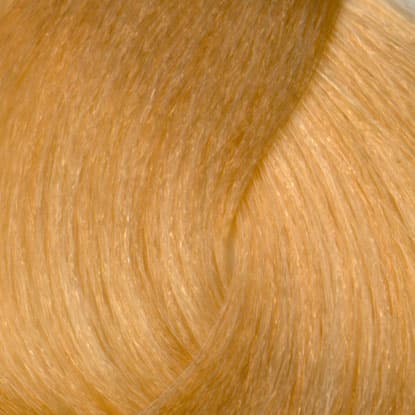 Neal & Wolf - EXTRAORDINARY COLOUR - 10.3