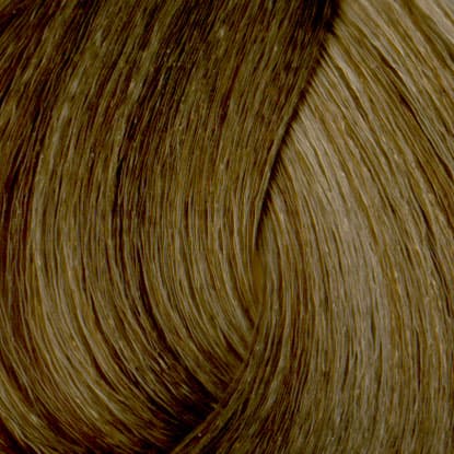 Neal & Wolf - EXTRAORDINARY COLOUR - 6.1