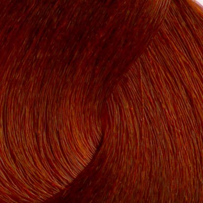 Neal & Wolf - EXTRAORDINARY COLOUR - 77.44