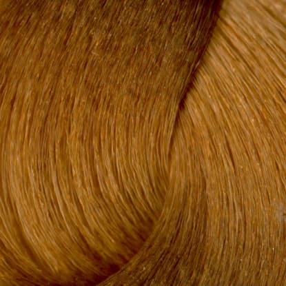 Neal & Wolf - EXTRAORDINARY COLOUR - 8