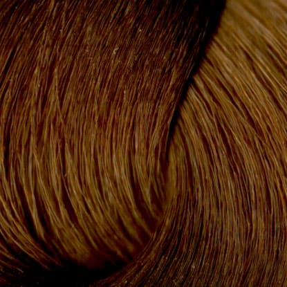 Neal & Wolf - EXTRAORDINARY COLOUR - 8.12