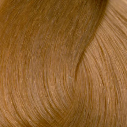 Neal & Wolf - EXTRAORDINARY COLOUR - 9.75