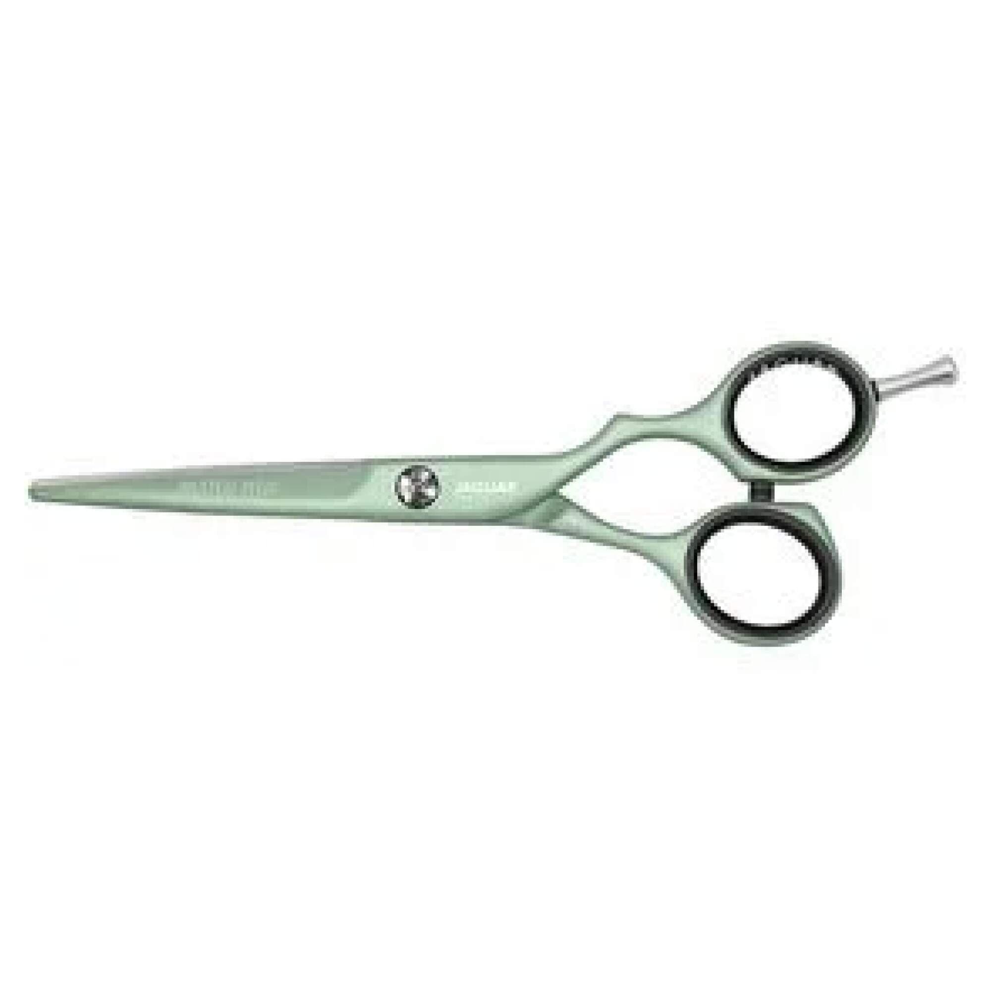JAGUAR SCISSORS - WHITE LINE - Pastell Plus Offset 5.5" Matcha
