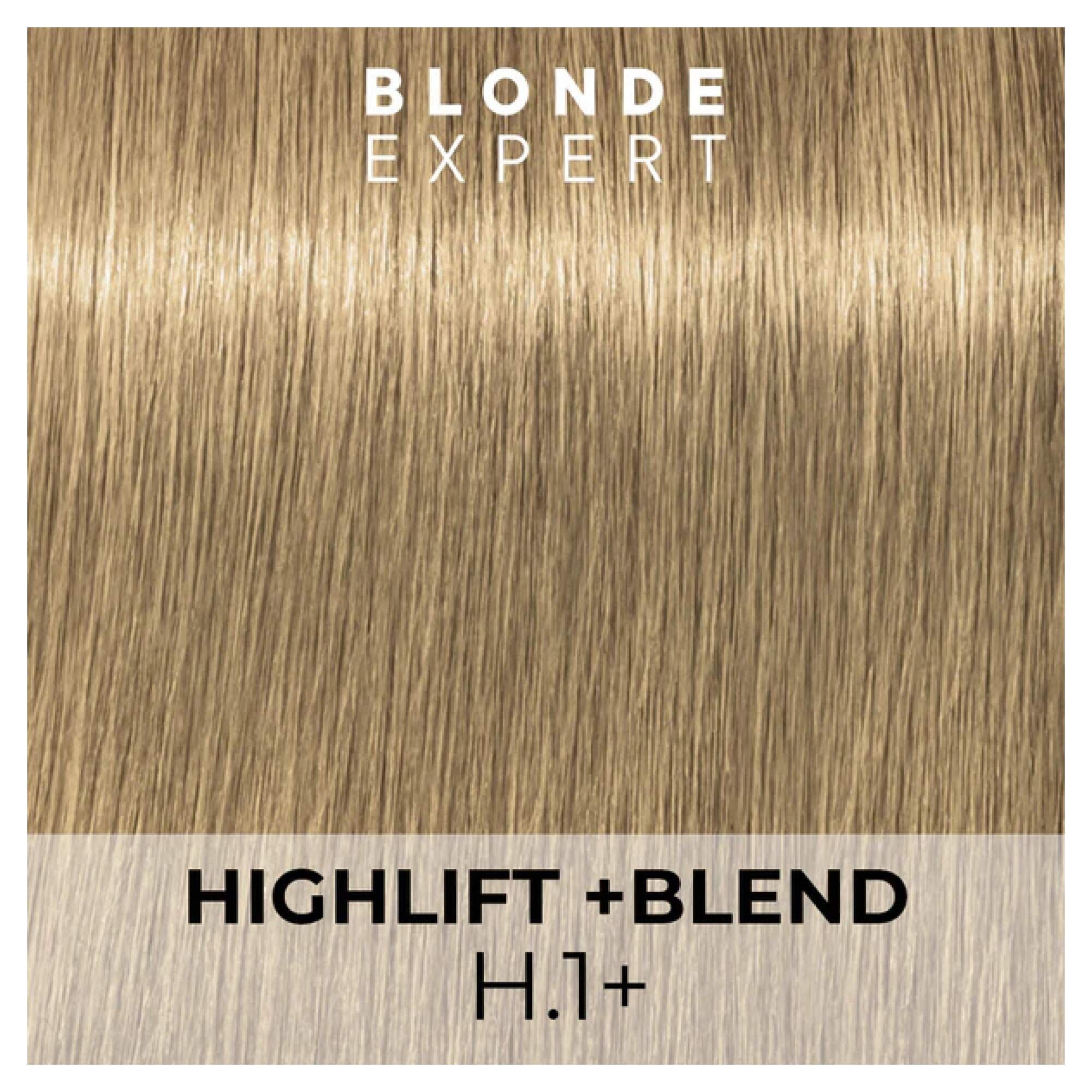 BLONDE EXPERT - H.1+ - Image 2
