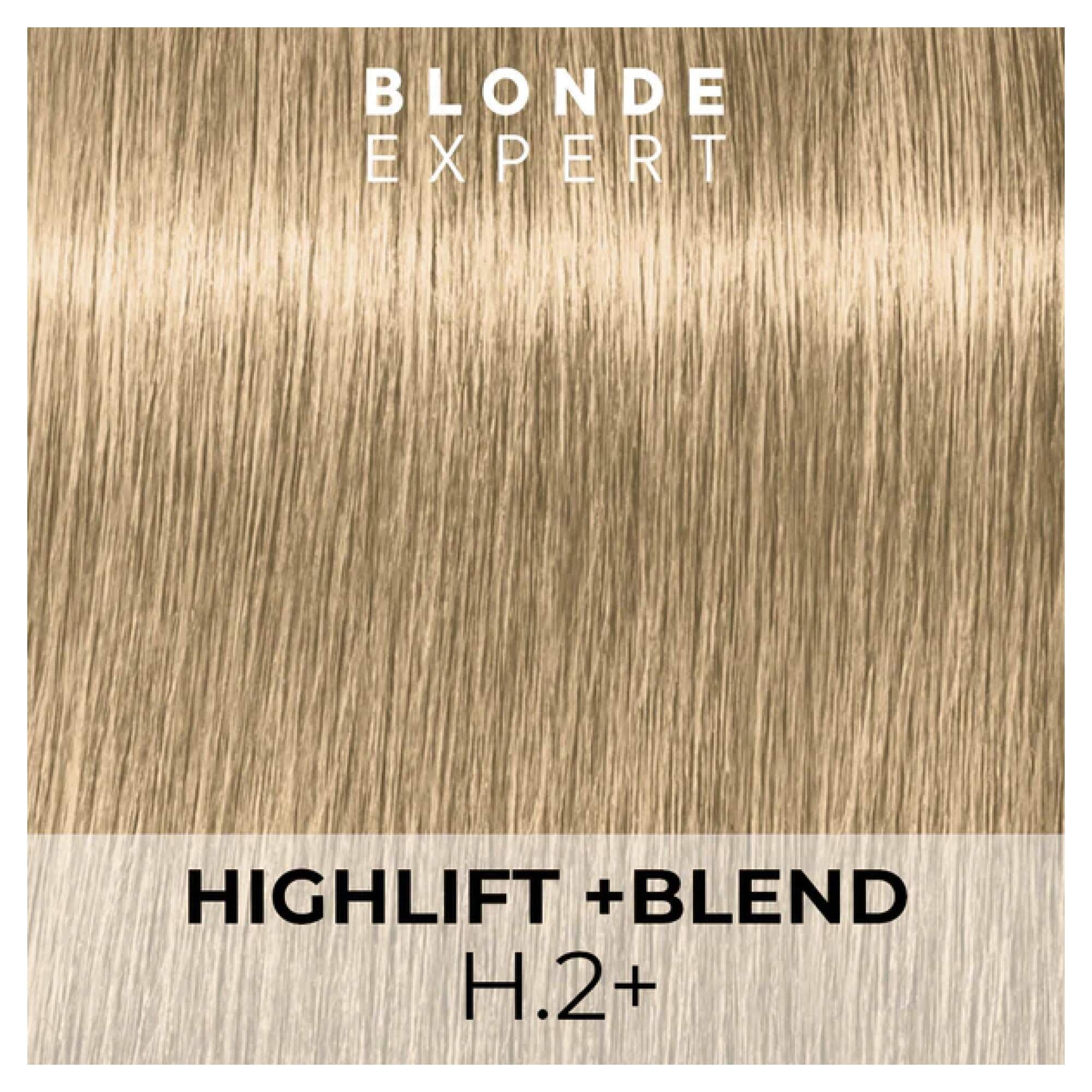 BLONDE EXPERT - H.2+ - Image 2
