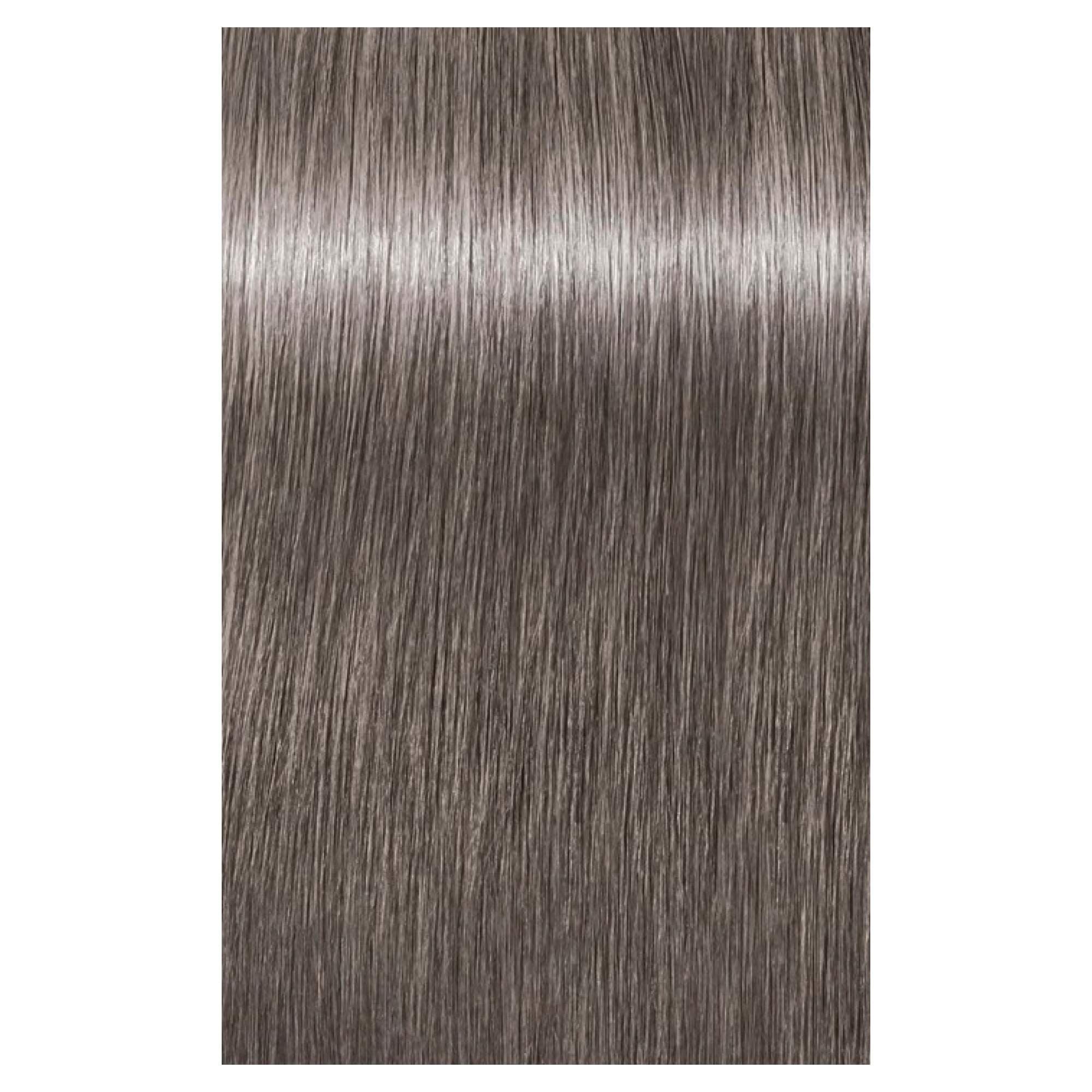 IGORA ROYAL - 8-21 - Image 2