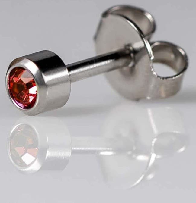 STAINLESS POLISHED STUD - Bezelset Birthstone - January