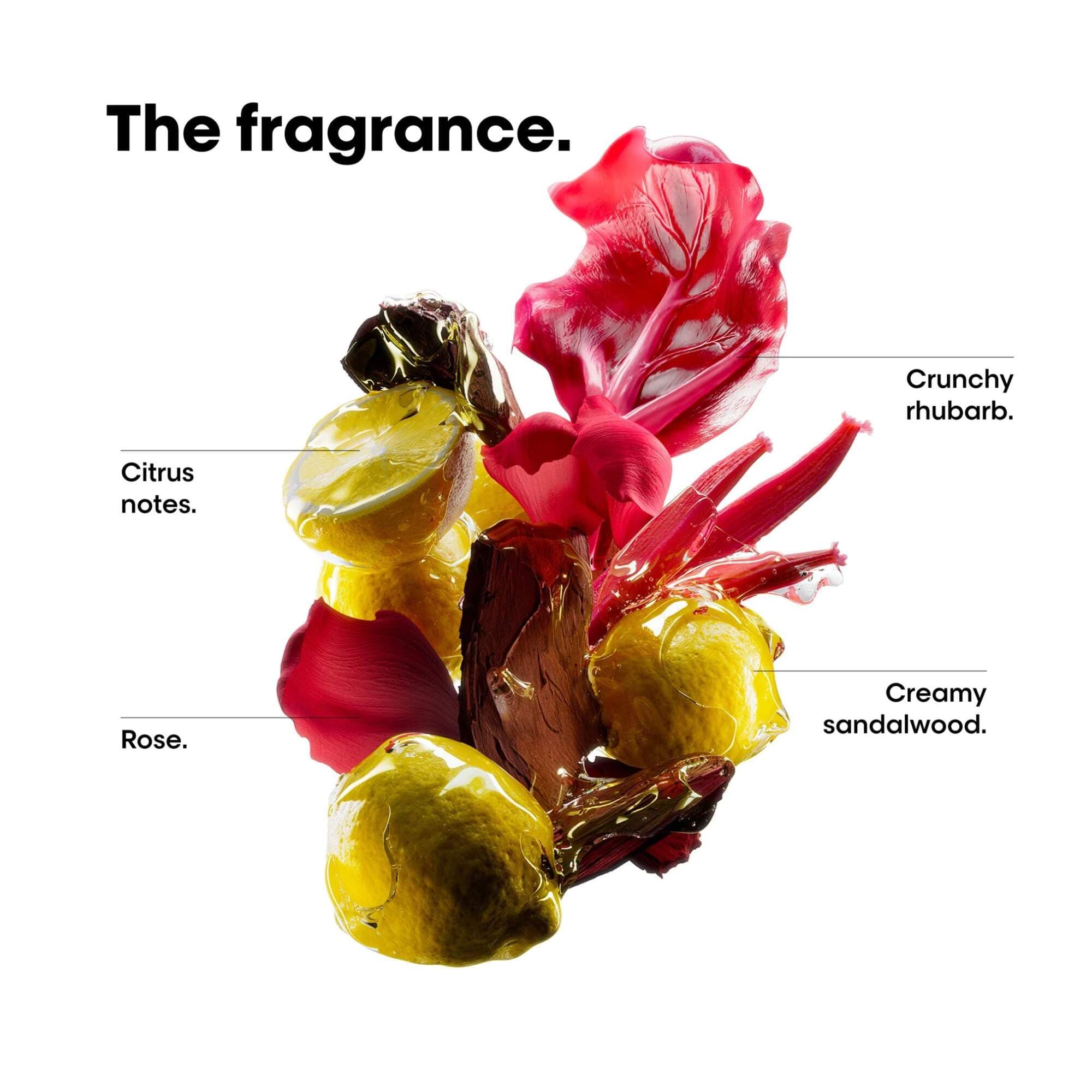 Serie Expert - Vitamino Color Spectrum - Shampoo - 500ml REFILL - Image 3